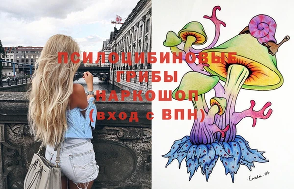 тгк Абаза