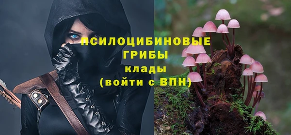 тгк Абаза
